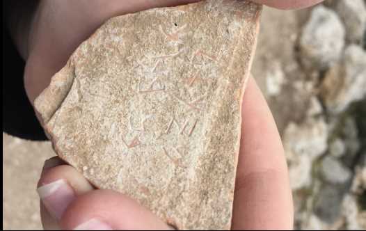 A pottery shard found on the tour.
