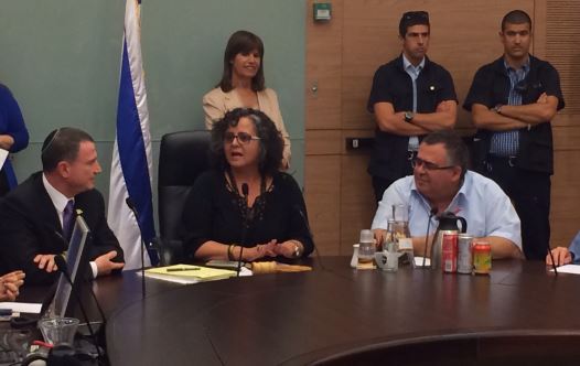 MK Aida Touma-Sliman (Joint List) 