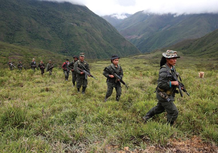 WILL ALL this be over now? Members of the 51st Front of the Revolutionary Armed Forces of Colombia (FARC) patrol in the remote mountains of Colombia, last month